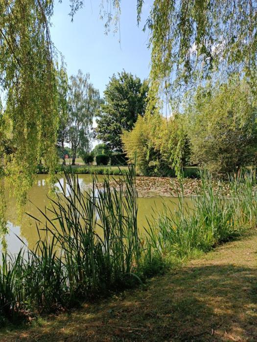 Comme A La Maison Pres Des Chateaux De La Loire Feings  외부 사진
